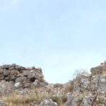 dipaea