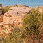 koroni