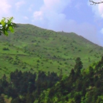 aidonoxori_karditsas 2_cr