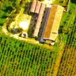 ambelonas corfu 1